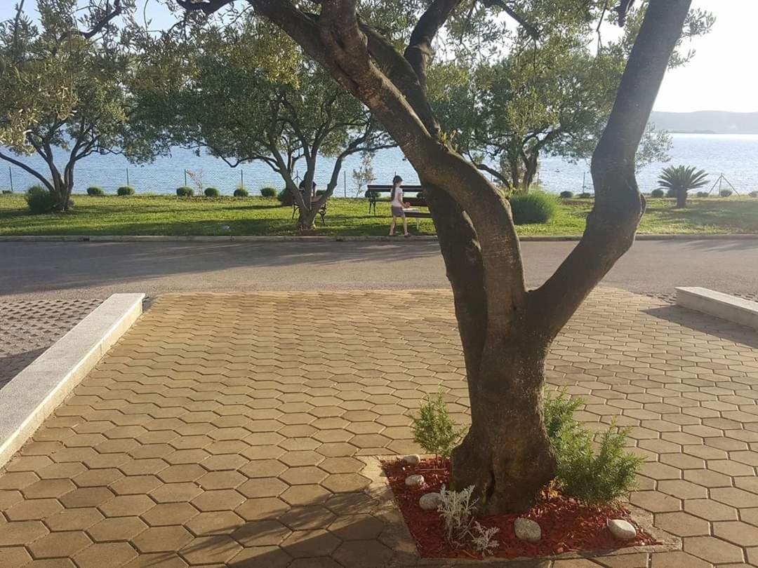 Maria'S Leilighet Biograd Na Moru Eksteriør bilde